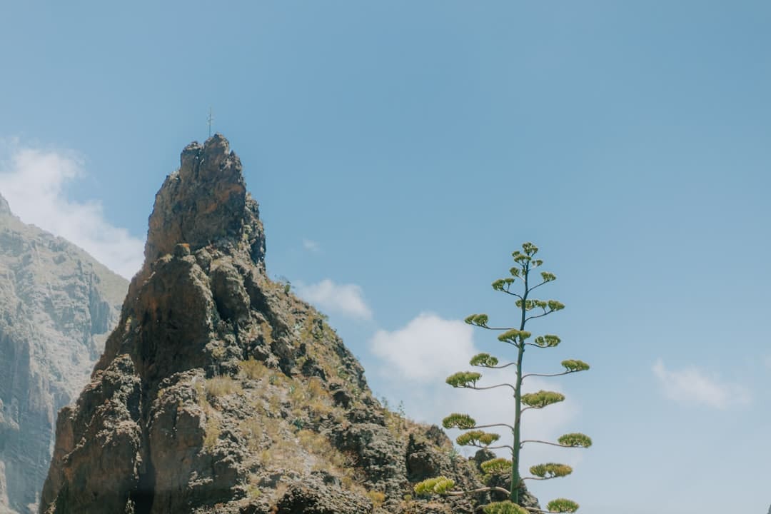 寒武纪进阶曲：国产AI芯片的突围之路